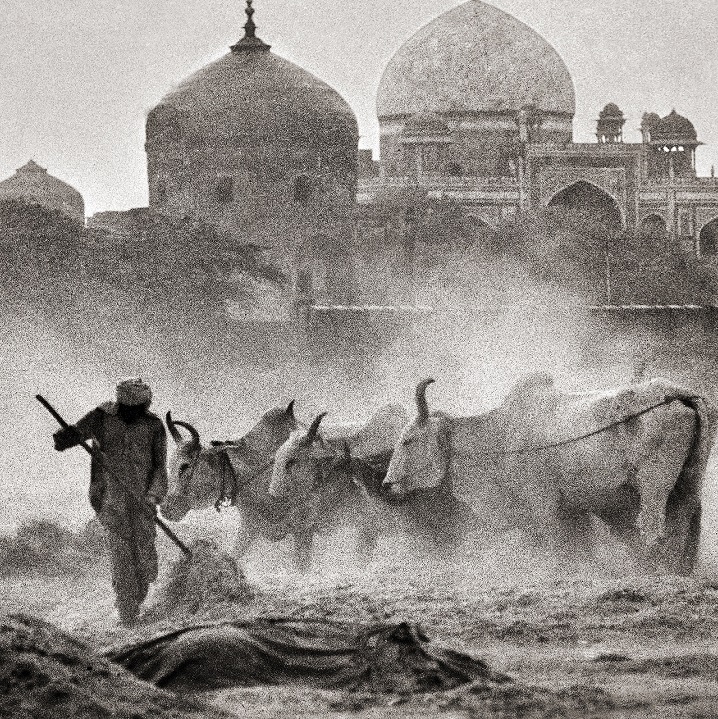 Wheat thrashing, humayun tomb delhi